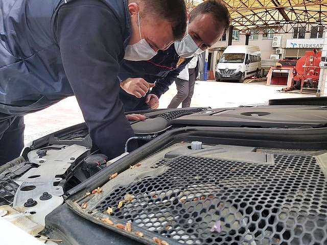 Araç motoruna sıkışan kedi kurtarıldı