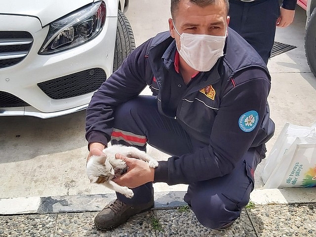 Araç motoruna sıkışan kedi kurtarıldı