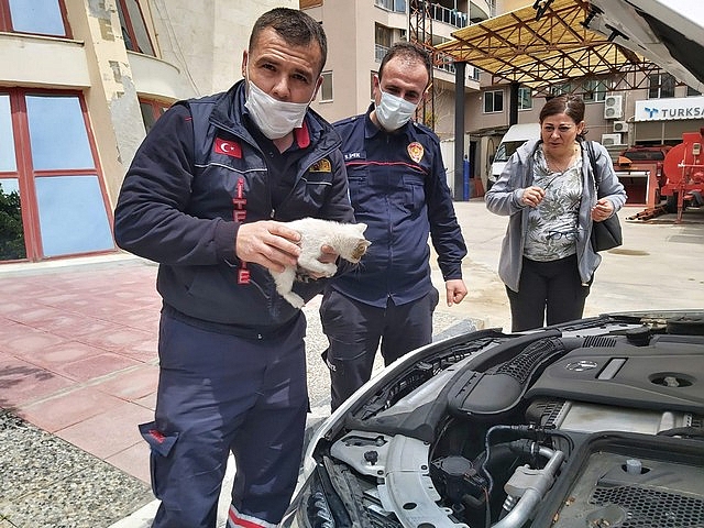 Araç motoruna sıkışan kedi kurtarıldı