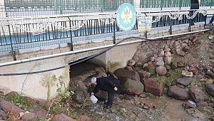 Kimyasalları dereye bırakan firma ya da firmalar tespit edilecek!..