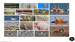 Mavişehir’e Flamingo Doğa Parkı geliyor