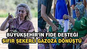 Türkiye'de Bir İlk: Şeker Otu Stevia ile Gazoz Ürettiler