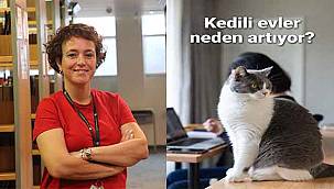 Evcil Kedi Sayısı 650 Milyona Ulaştı: Köpekleri Geride Bıraktı