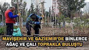 İzmir'de Atıl Alanlar "Mikroforest" Projesiyle Mini Ormanlara Dönüşüyor