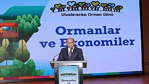 Uluslararası Orman Günü "Ormanlar ve Ekonomiler" Temasıyla Kutlandı