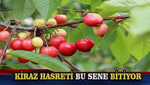 Dünya sofralarını Türk kirazı süsleyecek: 2026 ihracatında rekor beklentisi