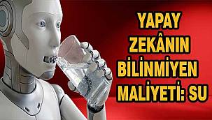 Yapay Zeka Su Tüketiyor: Dr. Öğr. Üyesi İnci Karakaş'tan Kritik Uyarılar