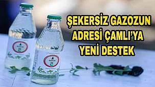 Türkiye'nin ilk şekersiz stevia gazozunu üreten kooperatife kurutma desteği