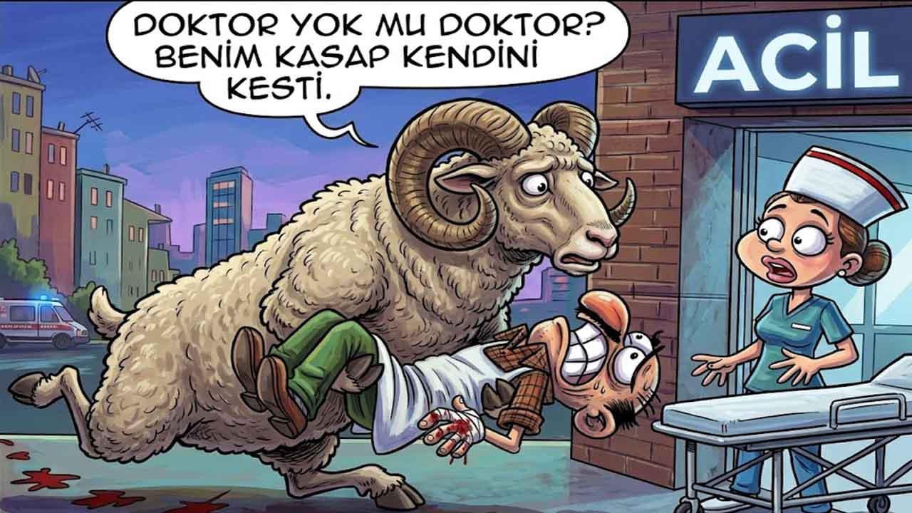 Kurban keseceklere kritik uyarı: Bu kurallara dikkat