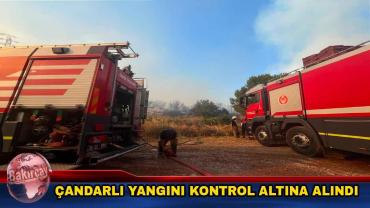 Çandarlı yangınında alevler sabaha karşı durduruldu