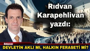 Demokrasilerde Devlet Aklı ve Halkın Tercihleri