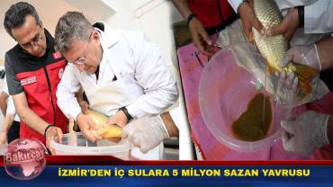 İç Sulara Beş Milyon Yavru Balık Takviyesi