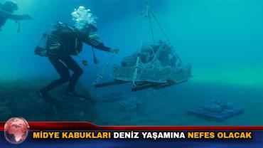 İzmir'de Atık Midye Kabukları Yapay Resife Dönüştü