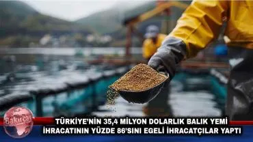 Balık Yemi İhracatında Türkiye Küresel Pazarda Güç Kazanıyor